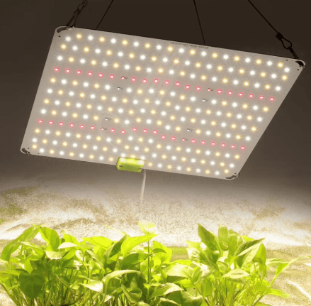 Led Horticole - Planta