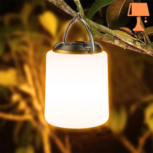 Lampe de Chevet Batterie